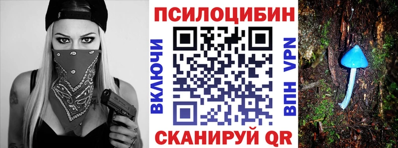 Галлюциногенные грибы Cubensis Судак