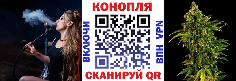 Каннабис семена Судак
