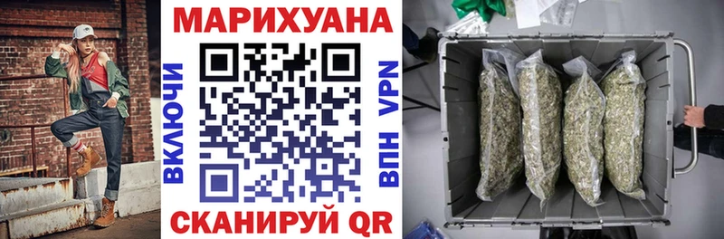 Марихуана план  Судак 